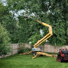 Best Arborist Consultation Services  in Magalia, CA