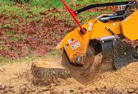 Best Tree Trimming and Pruning  in Magalia, CA