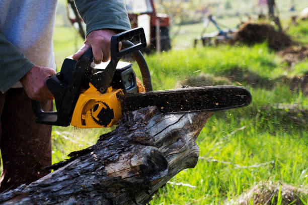 Lawn Irrigation Installation and Maintenance in Magalia, CA